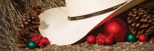 iStock_30843270_CowboyHatChristmas_web
